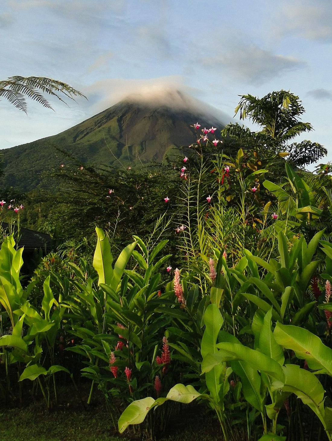 Monteverde, Costa Rica | TRAVEL GUIDE